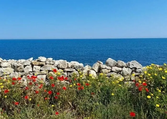 Perotti 23 Apartmán Bisceglie